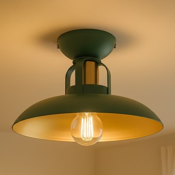 Brilagi - LED Πλαφονιέρα οροφής FLAMENGO 1xE27/60W/230V πράσινο