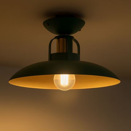 Brilagi - LED Πλαφονιέρα οροφής FLAMENGO 1xE27/60W/230V πράσινο