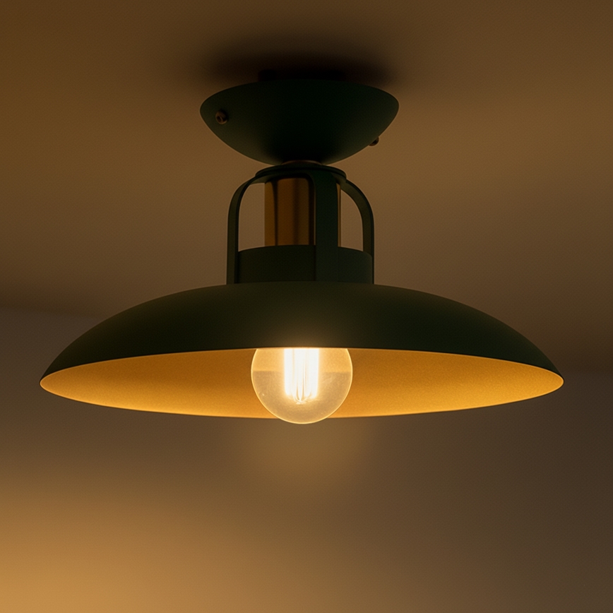 Brilagi - LED Πλαφονιέρα οροφής FLAMENGO 1xE27/60W/230V πράσινο