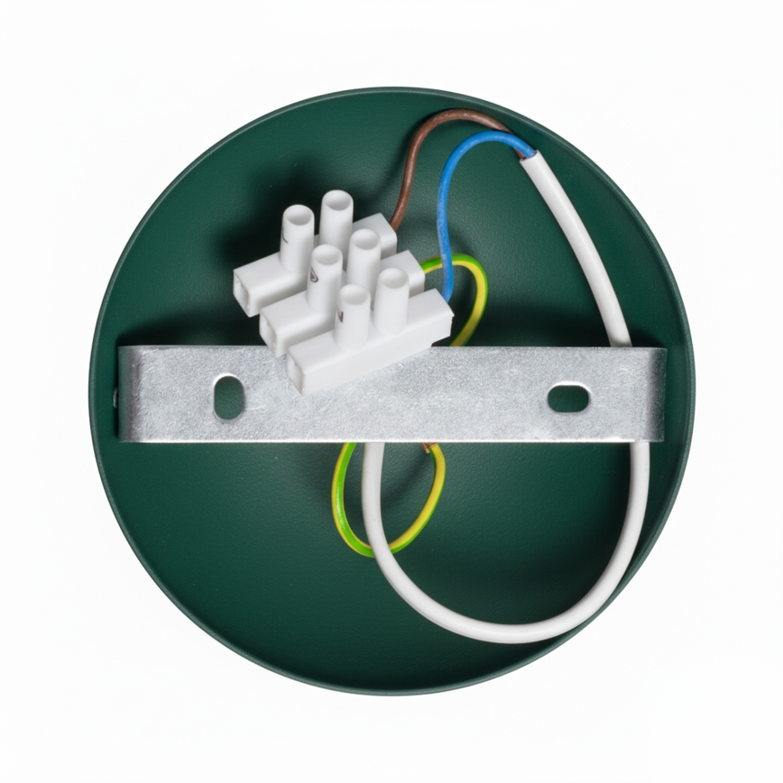 Brilagi - LED Πλαφονιέρα οροφής FLAMENGO 1xE27/60W/230V πράσινο