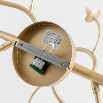 Brilagi - LED Πλαφονιέρα οροφής MISTEL 15xG9/3W/230V χρυσό/λευκό