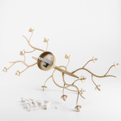 Brilagi - LED Πλαφονιέρα οροφής MISTEL 15xG9/3W/230V χρυσό/λευκό