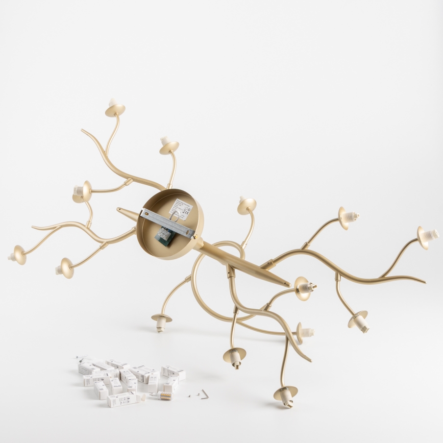 Brilagi - LED Πλαφονιέρα οροφής MISTEL 15xG9/3W/230V χρυσό/λευκό