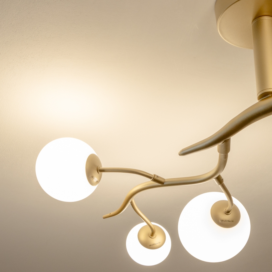 Brilagi - LED Πλαφονιέρα οροφής MISTEL 6xG9/3W/230V χρυσό/λευκό