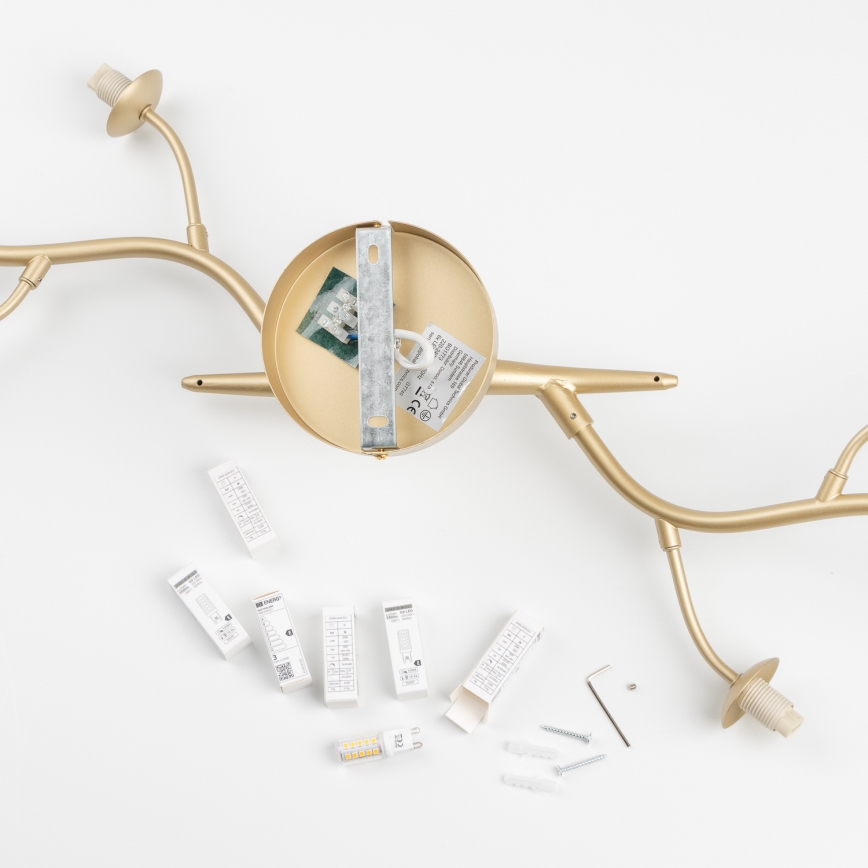 Brilagi - LED Πλαφονιέρα οροφής MISTEL 6xG9/3W/230V χρυσό/λευκό