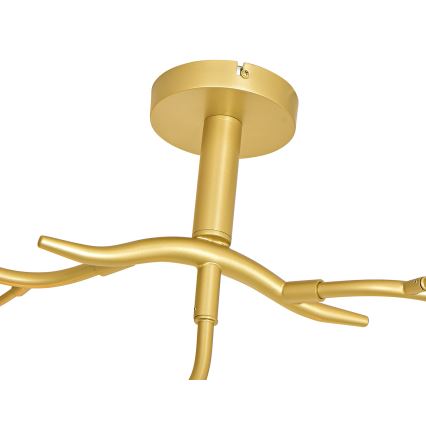 Brilagi - LED Πλαφονιέρα οροφής MISTEL 9xG9/3W/230V χρυσό/λευκό