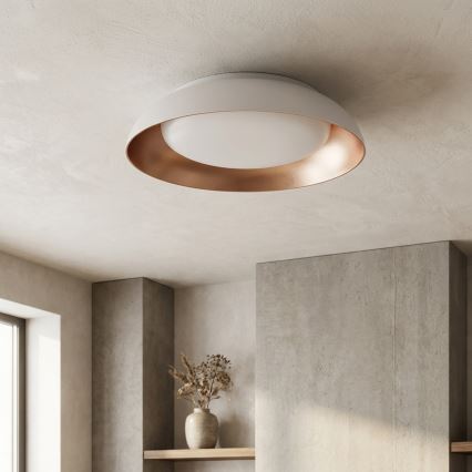 Brilagi - Ρυθμιζόμενο φωτιστικό οροφής LED ALVA LED/48W/230V 3000-6500K Ø 51 cm λευκό + τηλεχειριστήριο