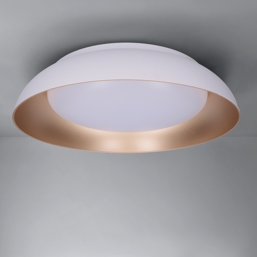 Brilagi - Ρυθμιζόμενο φωτιστικό οροφής LED ALVA LED/48W/230V 3000-6500K Ø 51 cm λευκό + τηλεχειριστήριο