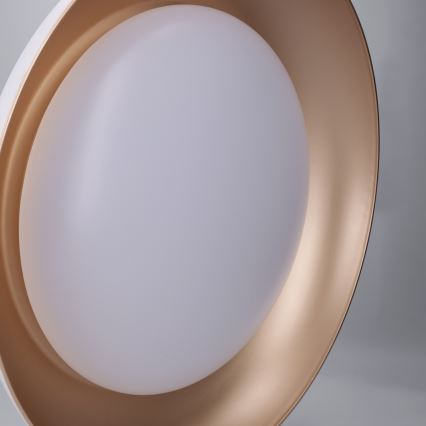 Brilagi - Ρυθμιζόμενο φωτιστικό οροφής LED ALVA LED/48W/230V 3000-6500K Ø 51 cm λευκό + τηλεχειριστήριο