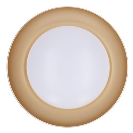 Brilagi - LED Ρυθμιζόμενο φωτιστικό οροφής ALVA LED/48W/230V 3000-6500K Ø 51 εκ. μαύρο + τηλεχειριστήριο