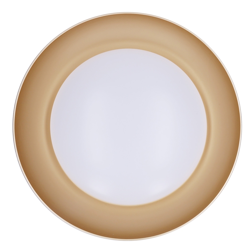 Brilagi - LED Ρυθμιζόμενο φωτιστικό οροφής ALVA LED/48W/230V 3000-6500K Ø 51 εκ. μαύρο + τηλεχειριστήριο