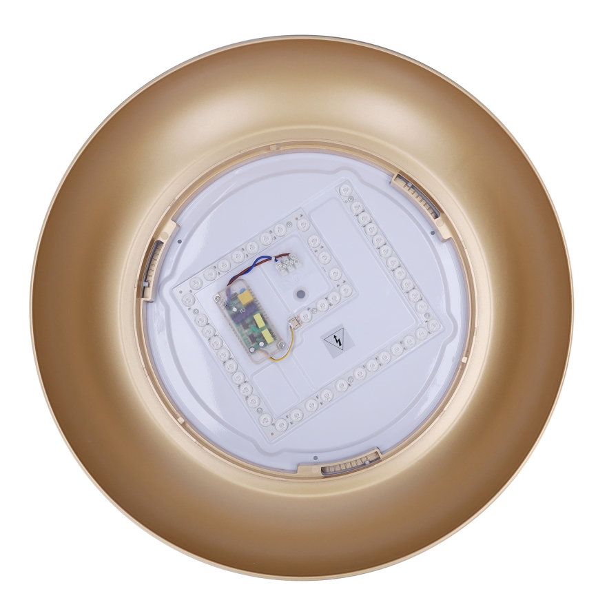 Brilagi - LED Ρυθμιζόμενο φωτιστικό οροφής ALVA LED/48W/230V 3000-6500K Ø 51 εκ. μαύρο + τηλεχειριστήριο