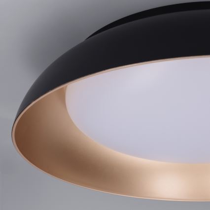 Brilagi - LED Ρυθμιζόμενο φωτιστικό οροφής ALVA LED/48W/230V 3000-6500K Ø 51 εκ. μαύρο + τηλεχειριστήριο