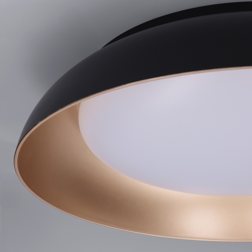 Brilagi - LED Ρυθμιζόμενο φωτιστικό οροφής ALVA LED/48W/230V 3000-6500K Ø 51 εκ. μαύρο + τηλεχειριστήριο