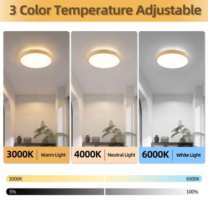 Brilagi - Ρυθμιζόμενο LED φωτιστικό οροφής GLASS POOL DOUBLE LED/48W/230V 3000-6000K 40 cm με ξύλινο φινίρισμα + τηλεχειριστήριο
