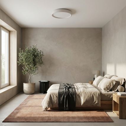 Brilagi - Ρυθμιζόμενο LED οροφής φωτιστικό NANCI LED/60W/230V 3000–6500K Ø 49 cm λευκό + τηλεχειριστήριο