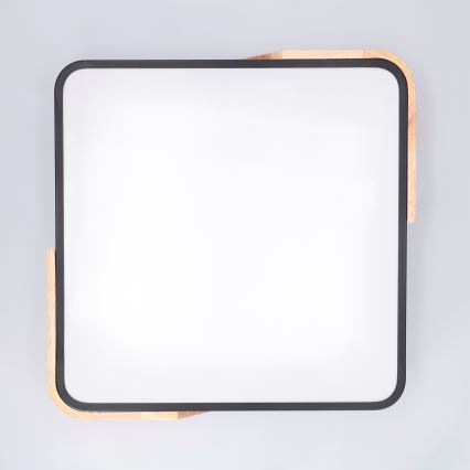 Brilagi - LED Ρυθμιζόμενο φωτιστικό οροφής PILANA LED/48W/230V 3000-6500K δρυς/μαύρο 42x42 cm + τηλεχειριστήριο