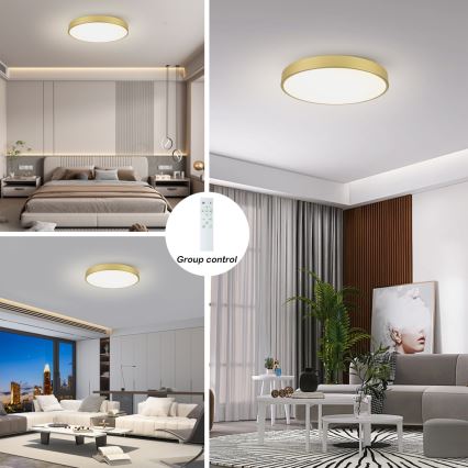 Brilagi - Ρυθμιζόμενο LED φωτιστικό οροφής POOL SMART LED/100W/230V 3000-6000K 80 cm χρυσό Wi-Fi Tuya + τηλεχειριστήριο