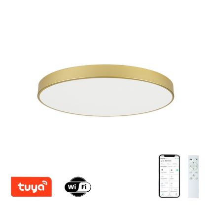 Brilagi - Ρυθμιζόμενο LED φωτιστικό οροφής POOL SMART LED/100W/230V 3000-6000K 80 cm χρυσό Wi-Fi Tuya + τηλεχειριστήριο