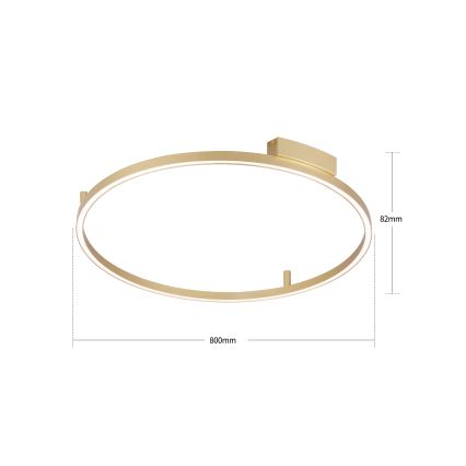 Brilagi - Ρυθμιζόμενο LED φωτιστικό οροφής PORTOFINO LED/60W/230V 3000-6000K Ø 80 cm χρυσό + τηλεχειριστήριο