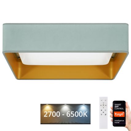Brilagi - Ρυθμιζόμενο LED φωτιστικό οροφής VELVET SQUARE SMART LED/36W/230V 60x60 cm 2700-6500K Wi-Fi Tuya + τηλεχειριστήριο σε απόχρωση μέντας