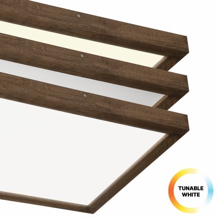 BRILAGI - LED Ρυθμιζόμενο φωτιστικό οροφής μπάνιου WOODY FRAME LED/50W/230V βελανιδιά/καρυδιά 60x60 cm 3000-6000K IP44 + τηλεχειριστήριο