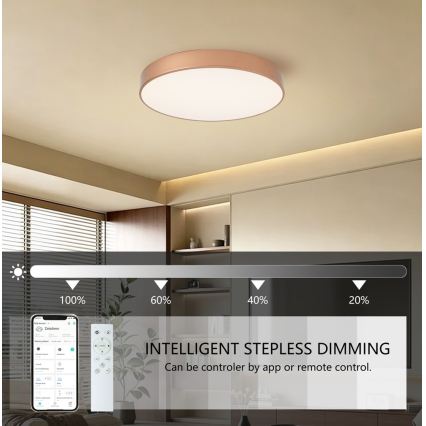 Brilagi - LED ρυθμιζόμενο φωτιστικό οροφής POOL SMART LED/60W/230V 3000-6000K Ø 50 cm Wi-Fi Tuya μπρονζέ + τηλεχειριστήριο