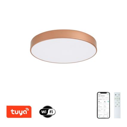 Brilagi - LED ρυθμιζόμενο φωτιστικό οροφής POOL SMART LED/60W/230V 3000-6000K Ø 50 cm Wi-Fi Tuya μπρονζέ + τηλεχειριστήριο