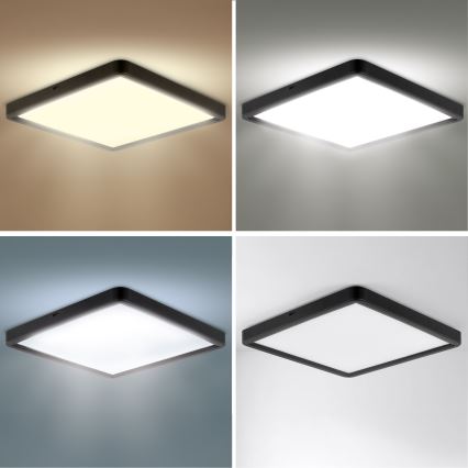 Brilagi - Ρυθμιζόμενο LED φωτιστικό οροφής ESTELA SQUARE LED/36W/230V 3000-6500K 31x31 cm μαύρο + τηλεχειριστήριο