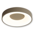 BRILAGI - LED Ρυθμιζόμενο φωτιστικό οροφής FALCON II LED/67W/230V 3000-6500K Ø 40 cm μπεζ + τηλεχειριστήριο