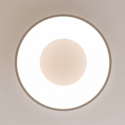 BRILAGI - LED Ρυθμιζόμενο φωτιστικό οροφής FALCON II LED/67W/230V 3000-6500K Ø 40 cm λευκό/μπεζ + τηλεχειριστήριο