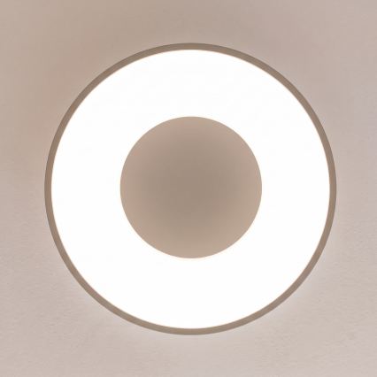 BRILAGI - LED Ρυθμιζόμενο φωτιστικό οροφής FALCON II LED/67W/230V 3000-6500K Ø 40 cm μπεζ + τηλεχειριστήριο