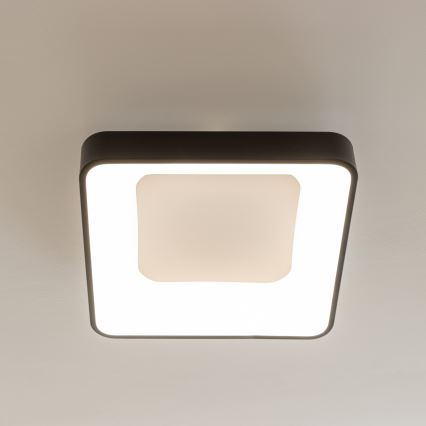 Brilagi - Ρυθμιζόμενο LED φωτιστικό οροφής FALCON II LED/80W/230V 3000-6500K 40x40 cm μαύρο + τηλεχειριστήριο