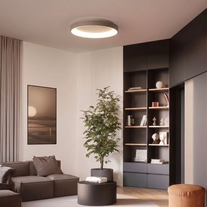 BRILAGI - LED Ρυθμιζόμενο φωτιστικό οροφής FALCON II LED/99W/230V 3000-6500K διάμ. 60 cm λευκό/μπεζ + τηλεχειριστήριο