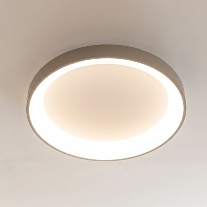 BRILAGI - LED Ρυθμιζόμενο φωτιστικό οροφής FALCON II LED/99W/230V 3000-6500K διάμ. 60 cm λευκό/μπεζ + τηλεχειριστήριο
