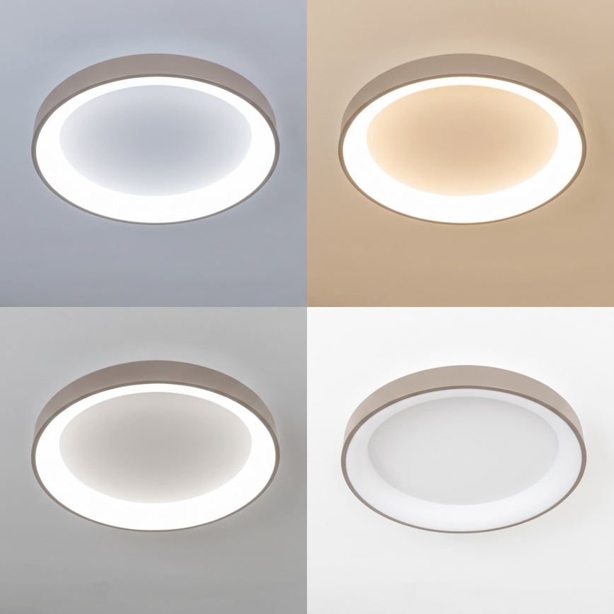 BRILAGI - LED Ρυθμιζόμενο φωτιστικό οροφής FALCON II LED/99W/230V 3000-6500K διάμ. 60 cm λευκό/μπεζ + τηλεχειριστήριο