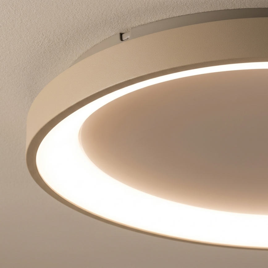 BRILAGI - Ρυθμιζόμενο LED φωτιστικό οροφής FALCON SLIM LED/42W/230V 3000-6500K, διάμετρος 50 εκ. λευκό/μπεζ + τηλεχειριστήριο