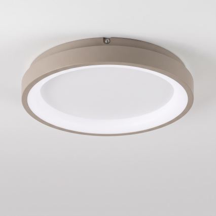 BRILAGI - Ρυθμιζόμενο LED φωτιστικό οροφής FALCON SLIM LED/42W/230V 3000-6500K, διάμετρος 50 εκ. λευκό/μπεζ + τηλεχειριστήριο