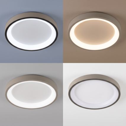 BRILAGI - Ρυθμιζόμενο LED φωτιστικό οροφής FALCON SLIM LED/42W/230V 3000-6500K, διάμετρος 50 εκ. λευκό/μπεζ + τηλεχειριστήριο