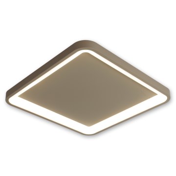 BRILAGI - LED Ρυθμιζόμενο φωτιστικό οροφής FALCON SLIM LED/50W/230V 3000-6500K 50x50 cm μπεζ + τηλεχειριστήριο