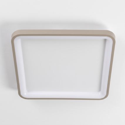BRILAGI - LED Ρυθμιζόμενο φωτιστικό οροφής FALCON SLIM LED/50W/230V 3000-6500K 50x50 cm λευκό/μπεζ + με τηλεχειριστήριο