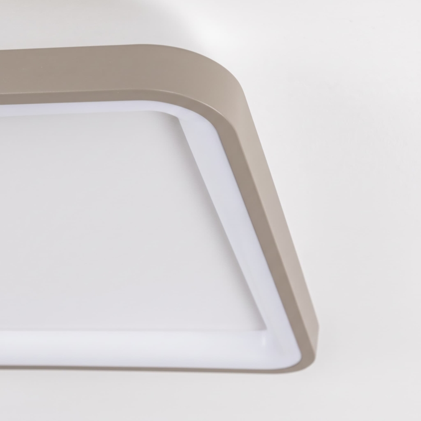 BRILAGI - LED Ρυθμιζόμενο φωτιστικό οροφής FALCON SLIM LED/50W/230V 3000-6500K 50x50 cm λευκό/μπεζ + με τηλεχειριστήριο