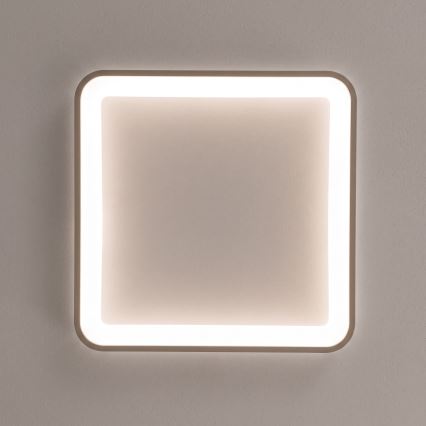 BRILAGI - LED Ρυθμιζόμενο φωτιστικό οροφής FALCON SLIM LED/50W/230V 3000-6500K 50x50 cm λευκό/μπεζ + με τηλεχειριστήριο