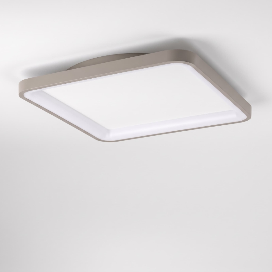 BRILAGI - LED Ρυθμιζόμενο φωτιστικό οροφής FALCON SLIM LED/50W/230V 3000-6500K 50x50 cm λευκό/μπεζ + με τηλεχειριστήριο