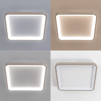 BRILAGI - LED Ρυθμιζόμενο φωτιστικό οροφής FALCON SLIM LED/50W/230V 3000-6500K 50x50 cm λευκό/μπεζ + με τηλεχειριστήριο