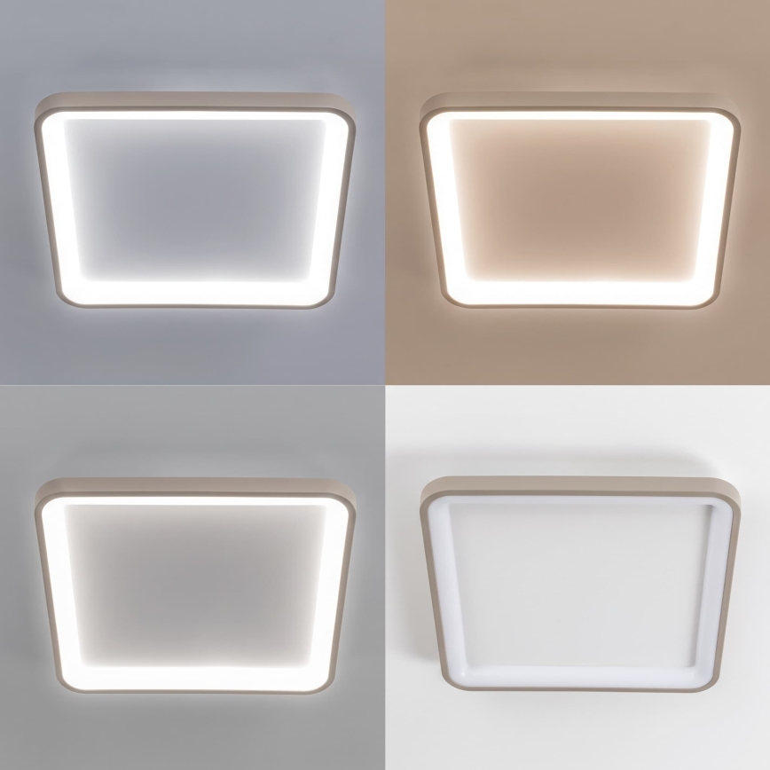 BRILAGI - LED Ρυθμιζόμενο φωτιστικό οροφής FALCON SLIM LED/50W/230V 3000-6500K 50x50 cm λευκό/μπεζ + με τηλεχειριστήριο