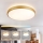 Brilagi - LED ρυθμιζόμενο φωτιστικό οροφής GLASS POOL DOUBLE LED/60W/230V 3000-6000K 50 cm χρυσό + τηλεχειριστήριο