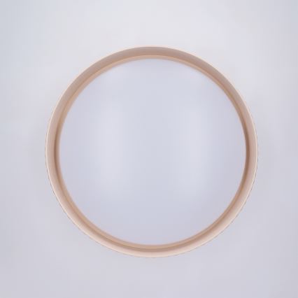 Brilagi - Ρυθμιζόμενο LED φωτιστικό οροφής LUCIA LED/48W/230V 3000-6500K διάμ. 41 εκ. μπεζ + τηλεχειριστήριο