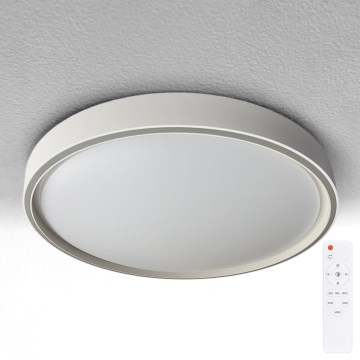 Brilagi - LED Ρυθμιζόμενο φωτιστικό οροφής NANCI LED/60W/230V 3000-6500K Ø49 cm ασημένιο + τηλεχειριστήριο