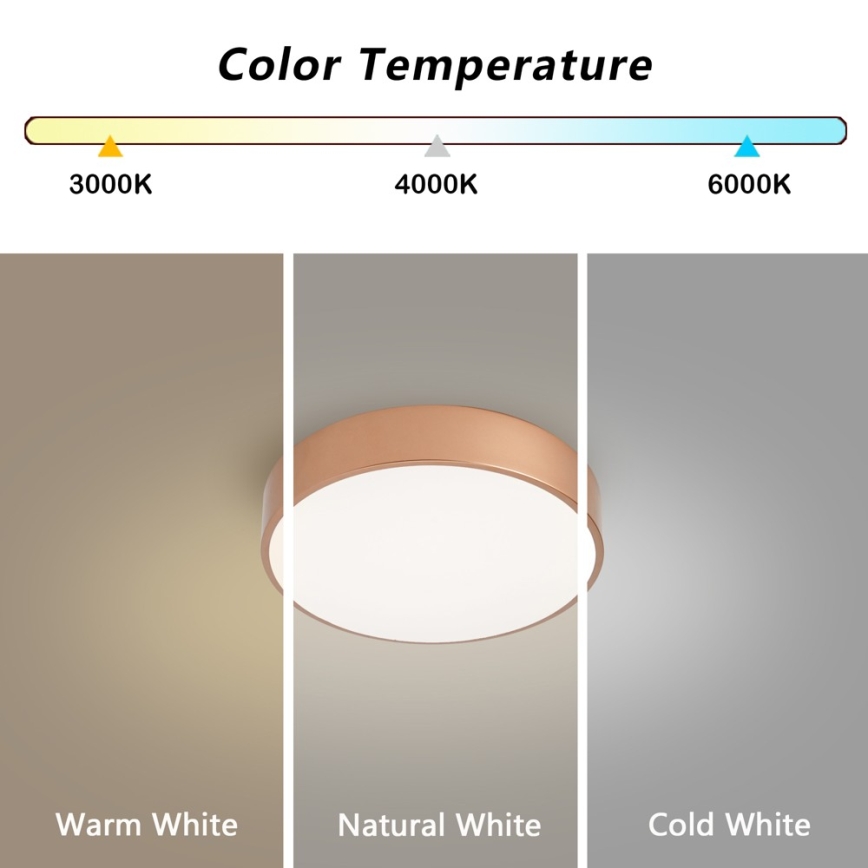BRILAGI - Ρυθμιζόμενο φωτιστικό οροφής LED POOL LED/24W/230V 3000-6000K Ø 20 cm χάλκινο + τηλεχειριστήριο
